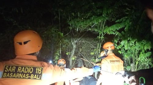 Tim SAR mengevakuasi jenazah di rawa-rawa Embung Sanur, Denpasar, Bali, Kamis (13/11/2025). (Foto: Dok. Kantor SAR Denpasar)