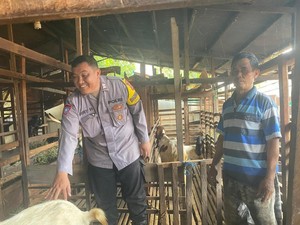 Aiptu Fery Tingkatkan Ekonomi Desa Melalui Pembinaan UMKM hingga Ternak Kambing