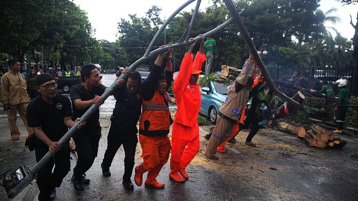 Petugas memotong pohon tumbang yang menimpa mobil taksi di depan Gedung Kementerian Keuangan, Jl Wahidin Raya Jakarta Pusat, Jumat (14/11/2025). Akibat hujan diserta angin kencang, pohon beringin tua roboh dan menimpa taksi Bluebird B 1295 TUC. Tak ada korban jiwa, sopir selamat.