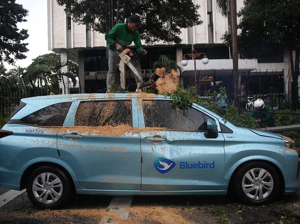 Angin Kencang Tumbangkan Pohon Beringin di Depan Kemenkeu