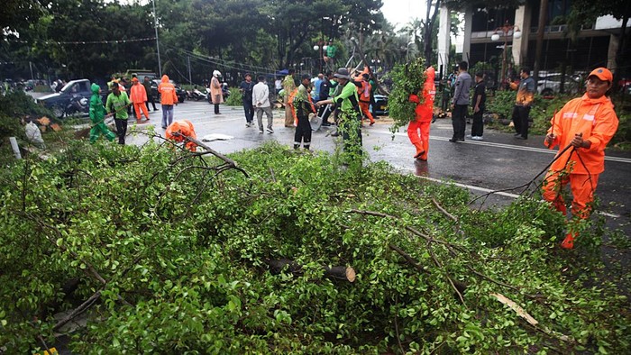 Petugas memotong pohon tumbang yang menimpa mobil taksi di depan Gedung Kementerian Keuangan, Jl Wahidin Raya Jakarta Pusat, Jumat (14/11/2025). Akibat hujan diserta angin kencang, pohon beringin tua roboh dan menimpa taksi Bluebird B 1295 TUC. Tak ada korban jiwa, sopir selamat.