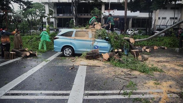 Petugas memotong pohon tumbang yang menimpa mobil taksi di depan Gedung Kementerian Keuangan, Jl Wahidin Raya Jakarta Pusat, Jumat (14/11/2025). Akibat hujan diserta angin kencang, pohon beringin tua roboh dan menimpa taksi Bluebird B 1295 TUC. Tak ada korban jiwa, sopir selamat.