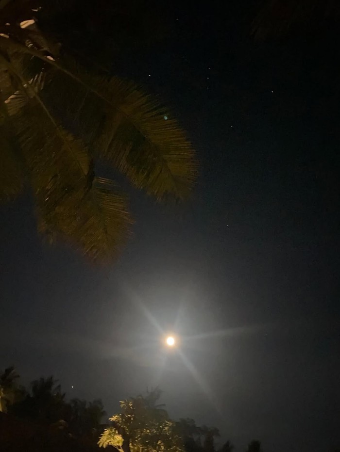 Ayu Ting Ting movie time bareng seseorang.