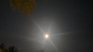 Sayangnya, sampai sekarang, Ayu Ting Ting belum kasih tahu siapa sosok cowok yang menemaninya movie time malam itu. Foto: Instagram Ayu Ting Ting