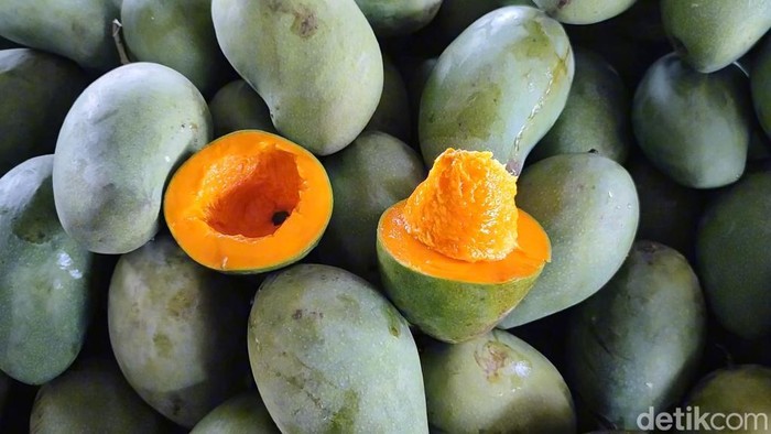 Mangga alpukat Pasuruan