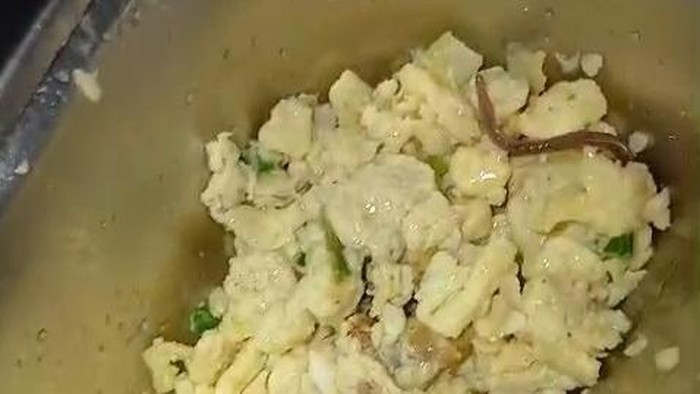 Penampakan cacing tanah di makanan MBG di SMA Negeri 6 Medan. (Dok. Tangkapan layar)