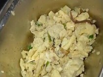 Cacing Tanah Hidup Ditemukan di Menu MBG, Disdik Sumut Cek