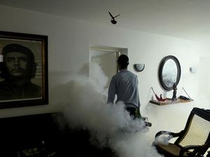 Pengasapan Massal Perangi Wabah Chikungunya yang Meluas