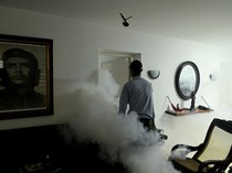 Pengasapan Massal Perangi Wabah Chikungunya yang Meluas