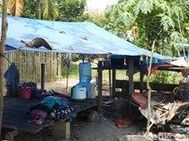 Ditipu Penculik Bilqis, Orang Rimba Jambi Justru Jadi Penyelamat