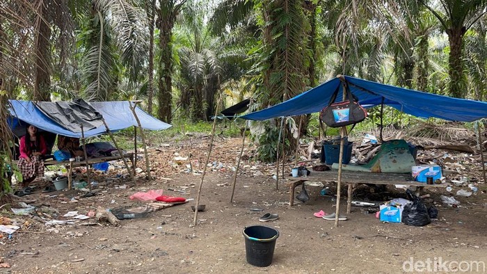 Potret sudung, gubuk tempat tinggal Orag Rimba di Desa Mentawak, Merangin