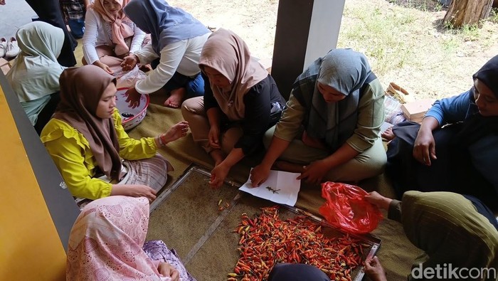 Puluhan istri nelayan praktik membuat produk olahan ikan dan pertanian di kantor Desa  Wonorejo, Kecamatan Banyuputih Kabupaten Situbondo.