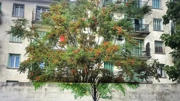In Your Hands oleh Adrien Martinetti di Ajaccio, Prancis. Foto: via StreetArtUtopia