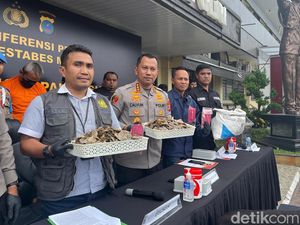 Pria di Medan Ditangkap Hendak Jual Sisik Trenggiling Seharga Rp 1,2 Juta/Kg