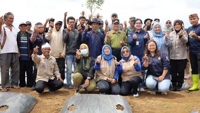 Wali Kota Cimahi, Ngatiyana saat laksanakan program gerakan tanam cabai di lahan pertanian