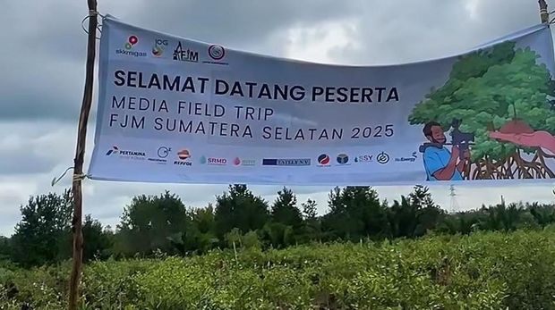 Area restorasi mangrove di Desa Sungsang IV, Banyuasin yang dilakukan SKK Migas Sumbagsel dan KKKS. Area restorasi mangrove di Desa Sungsang IV, Banyuasin yang dilakukan SKK Migas Sumbagsel dan KKKS.