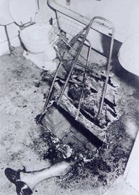 Foto Paling Misterius