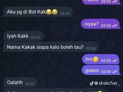 Ngakak Parah! Beginilah Jadinya Kalau Netizen Indo Salah Tangkap di Chat