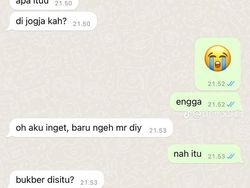Ngakak Parah! Beginilah Jadinya Kalau Netizen Indo Salah Tangkap di Chat