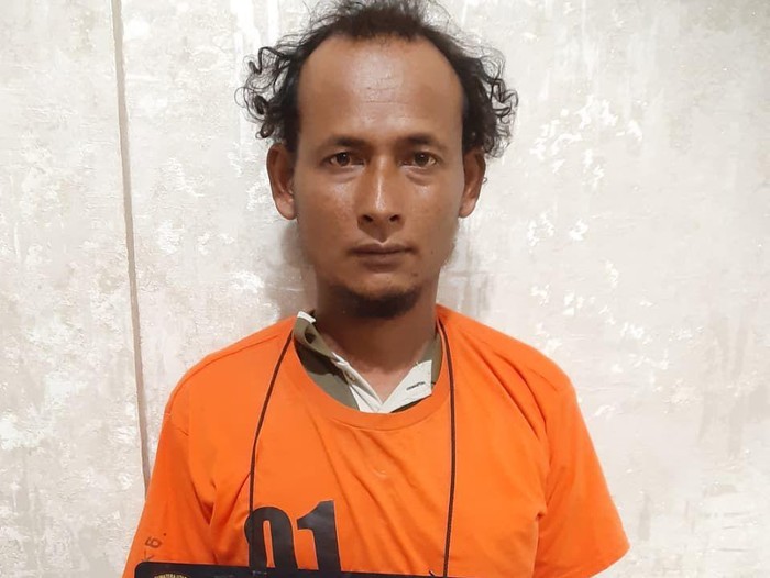 Dolmansen Sipayung saat diamankan petugas kepolisian.