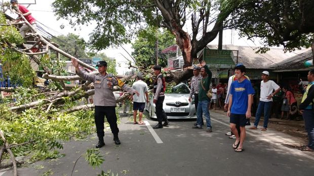 Pohon tumbang menimpa mobil Yaris yang melintas di Jalan Pahlawan, Ciputat, Tangsel, Sabtu (15/11/2025) siang. Polisi dan Damkar melakukan evakuasi.