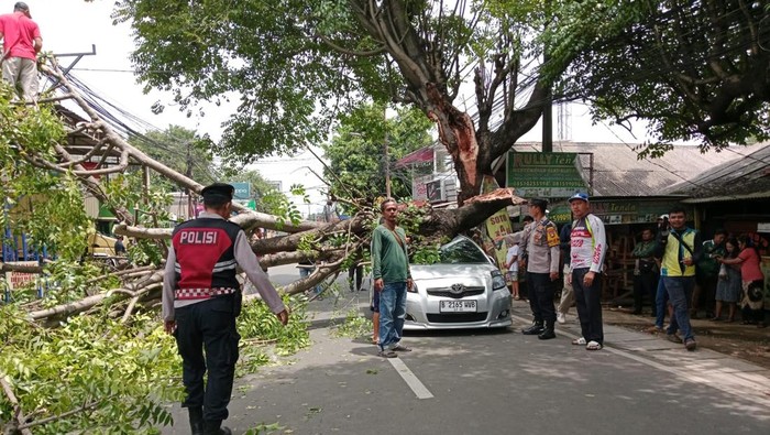 Pohon tumbang menimpa mobil Yaris yang melintas di Jalan Pahlawan, Ciputat, Tangsel, Sabtu (15/11/2025) siang. Polisi dan Damkar melakukan evakuasi.