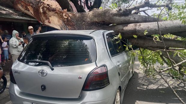 Pohon tumbang menimpa mobil Yaris yang melintas di Jalan Pahlawan, Ciputat, Tangsel, Sabtu (15/11/2025) siang. Polisi dan Damkar melakukan evakuasi.