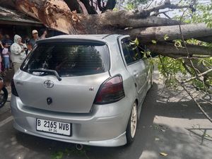 Video: Mobil Yaris 'Bakpao' Tertimpa Pohon Tumbang di Ciputat