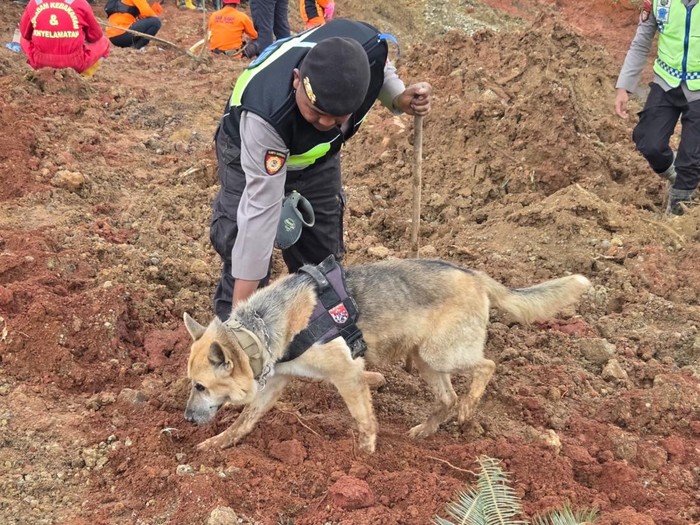 Polisi dan Anjing Pelacak Cari Korban Longsor Cilacap