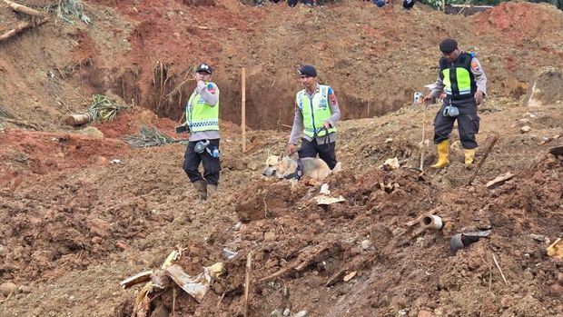 Polisi dan Anjing Pelacak Cari Korban Longsor Cilacap