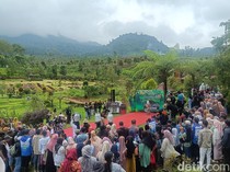 Tradisi Sunggi Susu Bremi Probolinggo Hadirkan Fashion Show Peternak Sapi