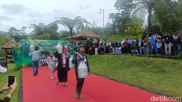 Tradisi sunggi susu di Probolinggo Tradisi sunggi susu di Probolinggo