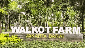 Walkot Farm 4.0, Taman Asri di Tengah Kantor Wali Kota
