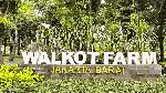 Walkot Farm 4.0, Taman Asri di Tengah Kantor Wali Kota