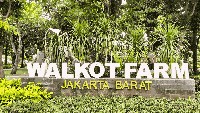 Walkot Farm 4.0, Taman Asri di Tengah Kantor Wali Kota
