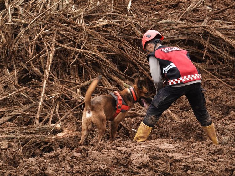 Anjing Pelacak Turun Tangan, Tim SAR Temukan 2 Korban Longsor di Cilacap