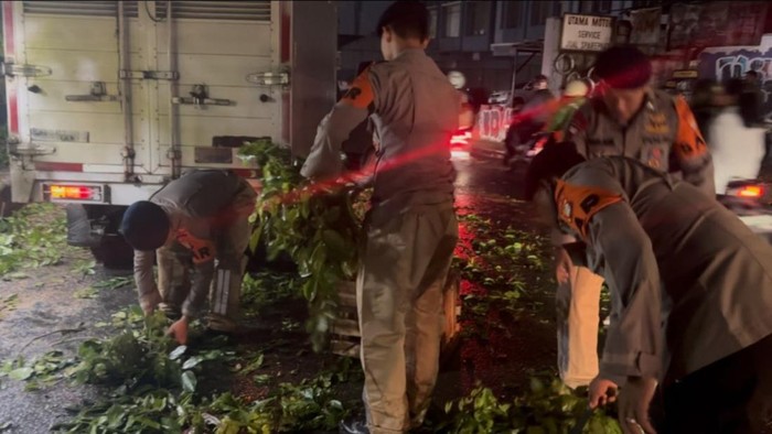 Brimob bersihkan pohon tumbang di Tangsel