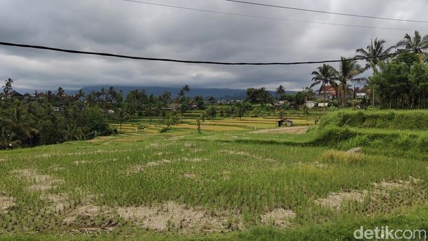 Keindahan Desa Desa Sulangai, Badung. Keindahan Desa Desa Sulangai, Badung.