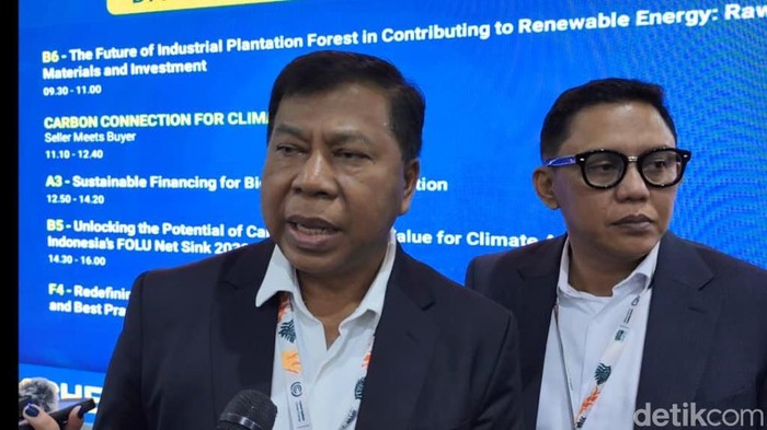 Ketua Kamar Pidana MA, Prim Haryadi (Gusti/detikcom).