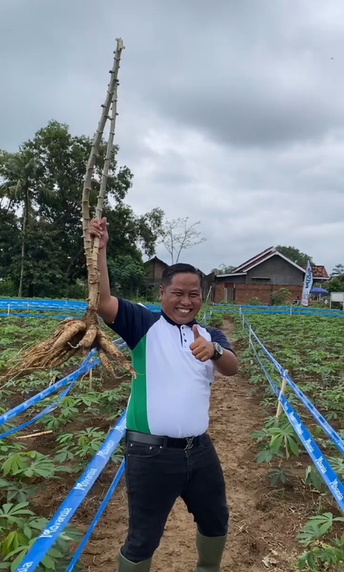 Narji banting stir jadi petani