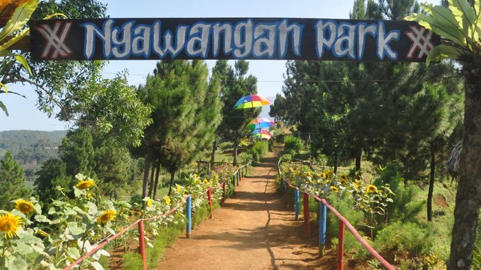 Nyawangan Park Tulungagung.