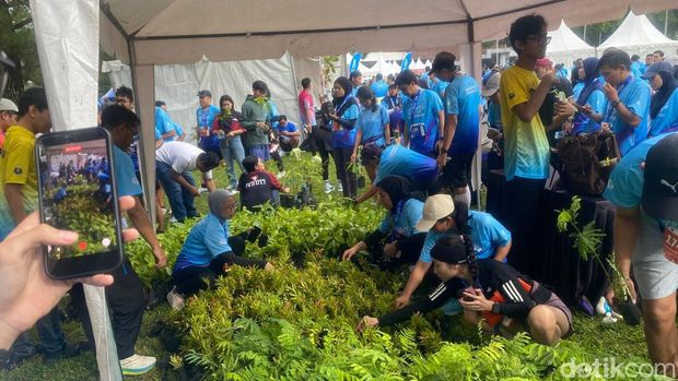 Pelari memilih bibit tanaman untuk dibawa pulang. Pelari memilih bibit tanaman untuk dibawa pulang.