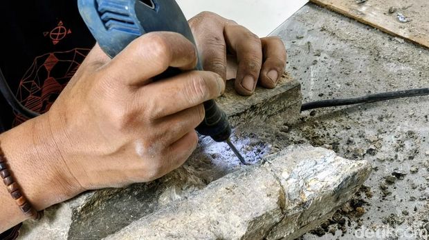 Proses preparasi fosil gajah purba Stegodon trigonocephalus di Museum Geologi Bandung Proses preparasi fosil gajah purba Stegodon trigonocephalus di Museum Geologi Bandung