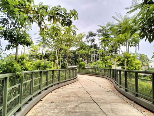 Potret Serbaraja Toll Park, Hidden Gem Hijau buat Jogging di BSD