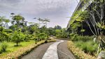Potret Serbaraja Toll Park, Hidden Gem Hijau buat Jogging di BSD