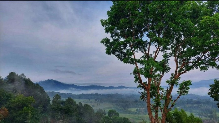 Bukti Kukus Bangka Barat