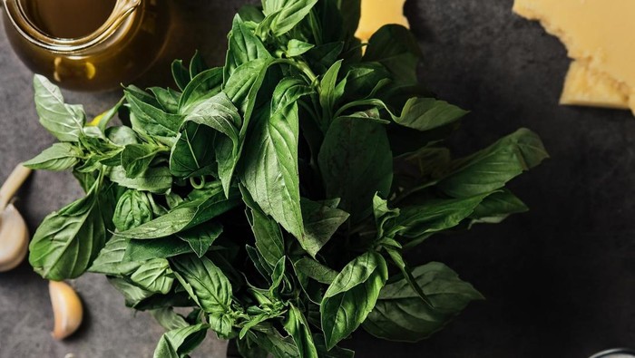 Air Rebusan Daun Kemangi Bisa untuk Obat Apa? Ini Manfaat dan Cara Membuatnya