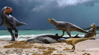 Ilmuwan Temukan Spesies Dinosaurus Berparuh Bebek