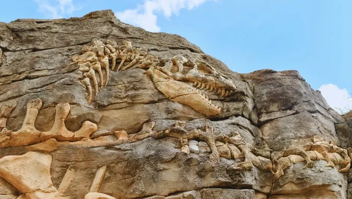 Dinosaurus berukuran 29 meter di China