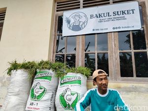 Unik! Pemuda Sleman Ini Cuan Jualan Rumput Lewat Online